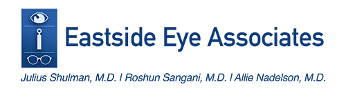 Eastside Eye Associates Logo